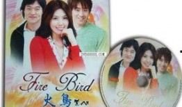 韩剧火鸟在线观看,穿越时空的浪漫传奇